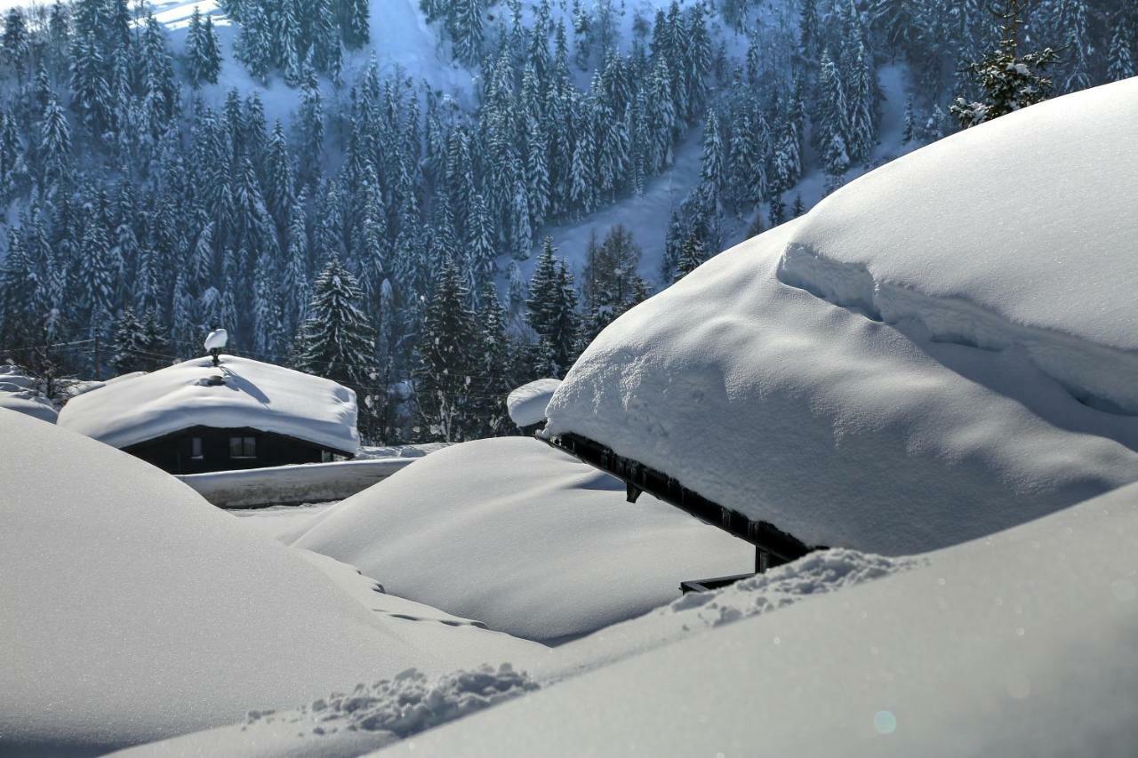 Studio "Children Of Powdersnow" Mühlbach am Hochkönig Kültér fotó